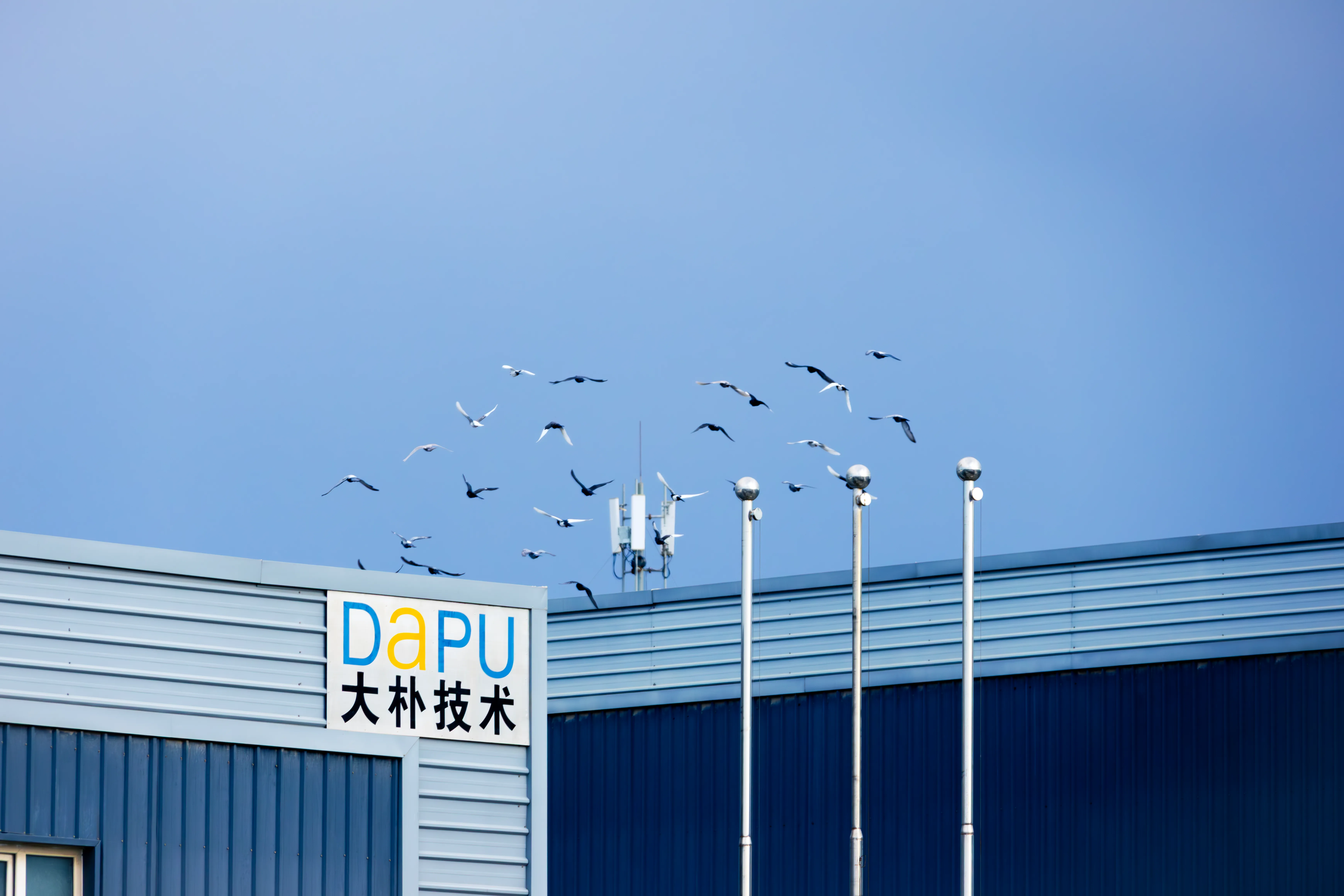 DaPU Technology Scene